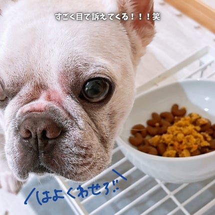 えび松(春br) on LIPS 「\出来立てみたい!/美容の情報など発信中▶︎▶︎▶︎@ebi..」(5枚目)