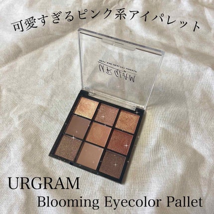 UR GLAM BLOOMING EYE COLOR PALETTE/U R GLAM/アイシャドウパレットを使ったクチコミ(1枚目)
