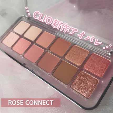 プロ アイ パレット エアー/CLIO/アイシャドウパレットを使ったクチコミ(1枚目)