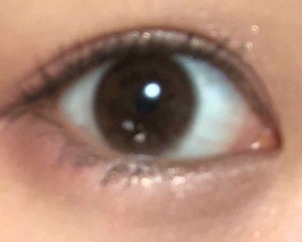 eye closet 1DAY/EYE CLOSET/ワンデー(1DAY)カラコンを使ったクチコミ(1枚目)