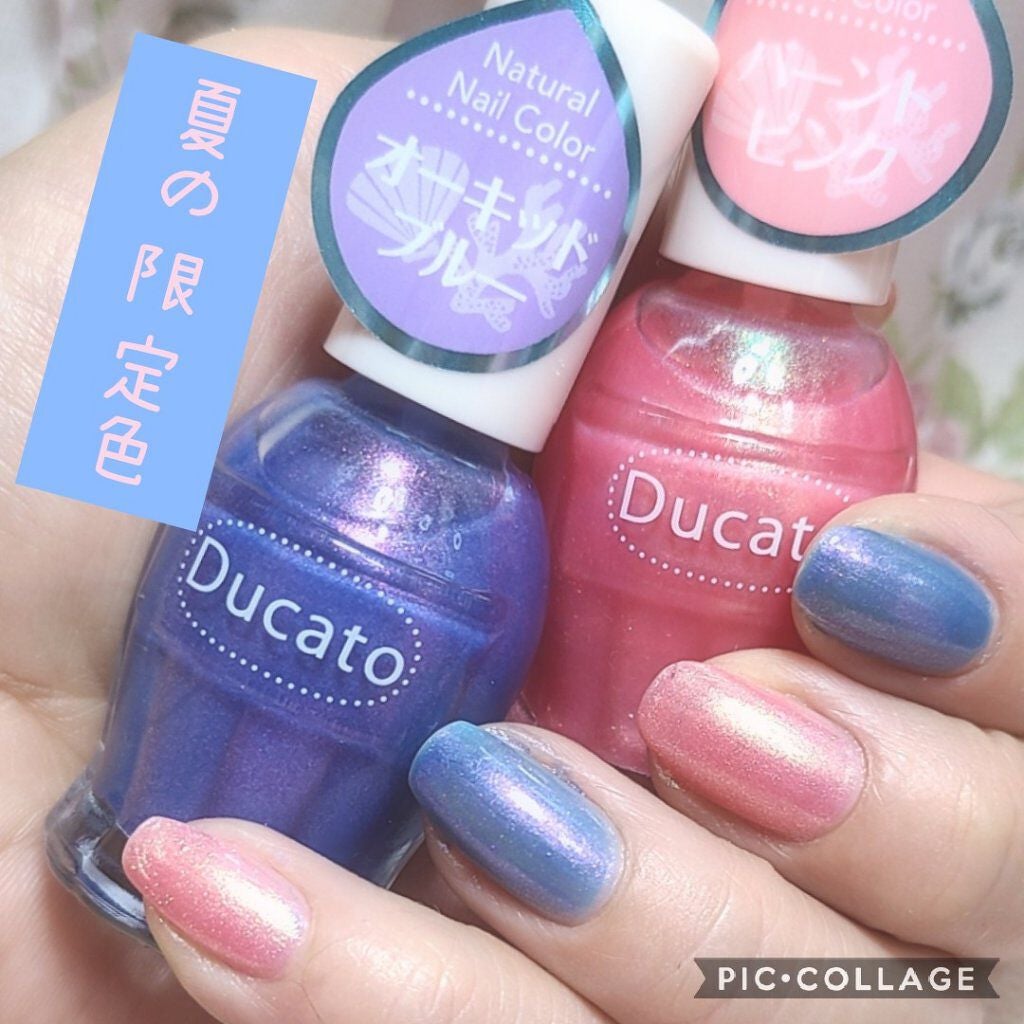 ナチュラルネイルカラーN/デュカート/マニキュアを使ったクチコミ(1枚目)