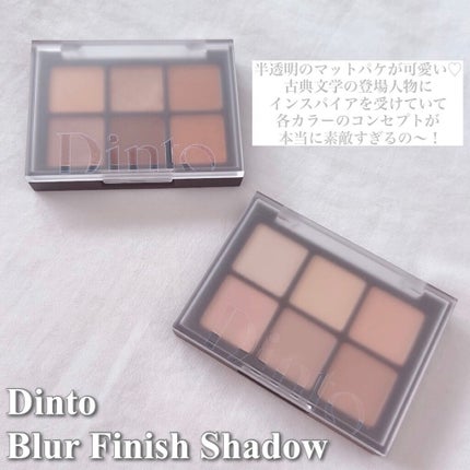 ブラーフィニシュシャドウパレット/Dinto/アイシャドウパレットを使ったクチコミ(2枚目)