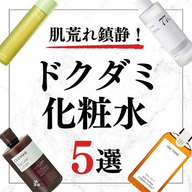 美容オタクのダン｜プチプラスキンケアコスメ on LIPS 「＜肌荒れ鎮静！＞ドクダミ化粧水5選◆紹介したアイテム・Anua..」（1枚目）