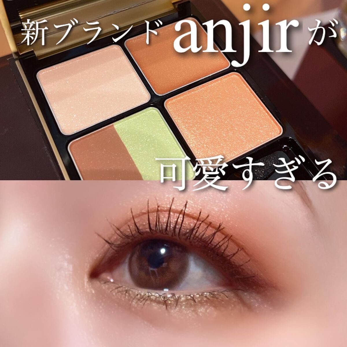 イレジスタブル アイシャドウ/anjir/アイシャドウパレットを使ったクチコミ（1枚目）