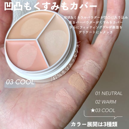 カバーアッププロコンシーラー/TFIT/パレットコンシーラーを使ったクチコミ(2枚目)