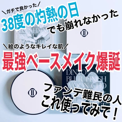 ブラーフィニッシュ雲楚クッション/Dinto/クッションファンデーションを使ったクチコミ(1枚目)