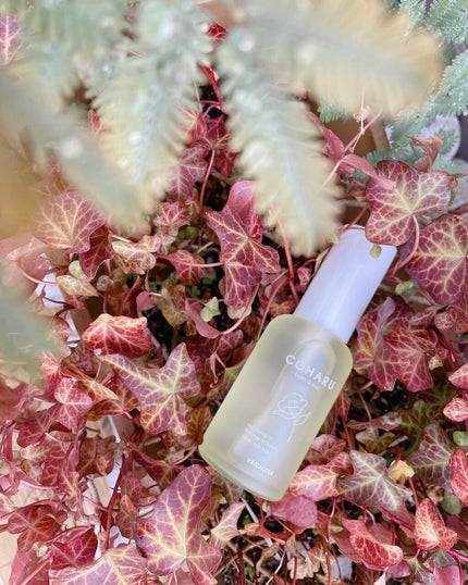 スタイリングオイル<タイト&ウェット>/COHARU/ヘアオイルを使ったクチコミ(1枚目)