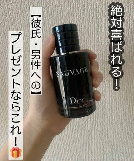 試してみた】Dior ソヴァージュ オードゥ パルファンのリアルな 試してみた】Dior ソヴァージュ オードゥ パルファンのリアルな