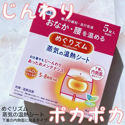 蒸気の温熱シート 下着の内側面に貼るタイプ/めぐりズム/その他を使ったクチコミ(1枚目)