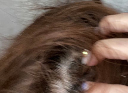 fumiron1012 on LIPS ãðºMOUKONã¯ã¬ã³ãžã³ã°ðžã·ã£ã³ããŒã®åã«äœ¿ããã¬ã¯ã¬ã³ãžã³..ãïŒ4æç®ïŒ