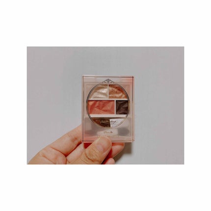 カラーパレット/パラドゥ/マルチパレットを使ったクチコミ(1枚目)