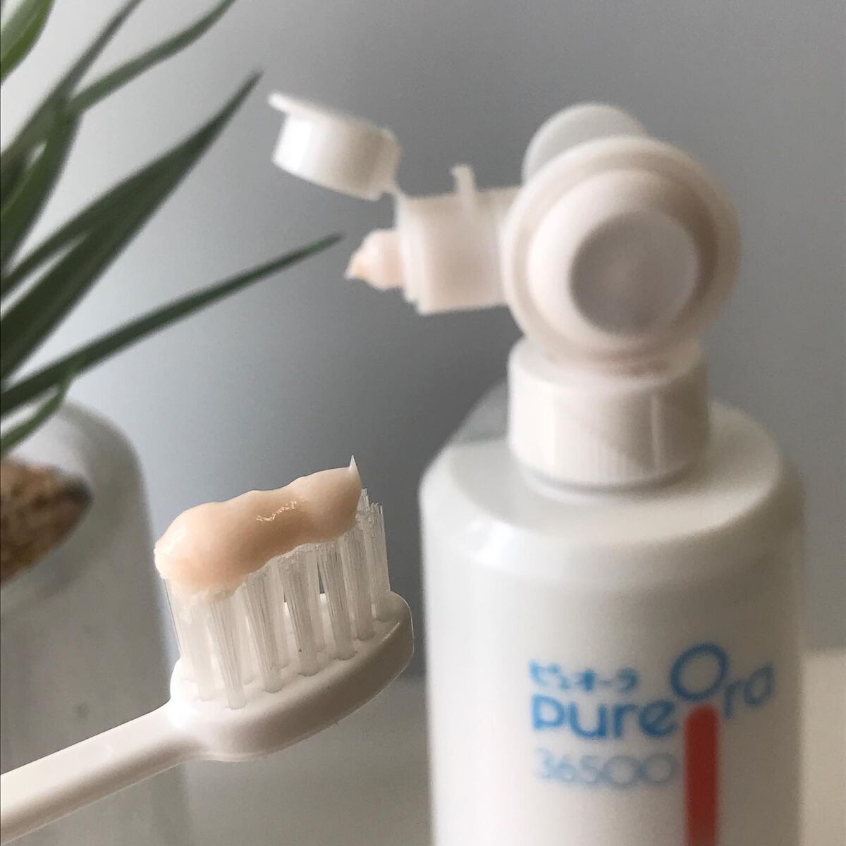 ピュオーラ36500 薬用ハグキ高密着クリームハミガキ/ピュオーラ/歯磨き粉を使ったクチコミ(4枚目)