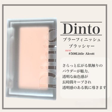 ブラーフィニシュブラッシャー/Dinto/パウダーチークを使ったクチコミ（2枚目）