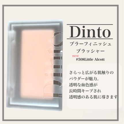 ブラーフィニシュブラッシャー/Dinto/パウダーチークを使ったクチコミ(2枚目)