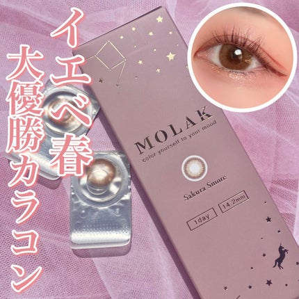 MOLAK 1day/MOLAK/ワンデー(1DAY)カラコンを使ったクチコミ(1枚目)