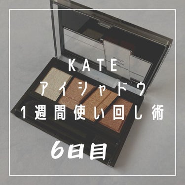 デザイニングブラウンアイズ/KATE/パウダーアイシャドウを使ったクチコミ（1枚目）