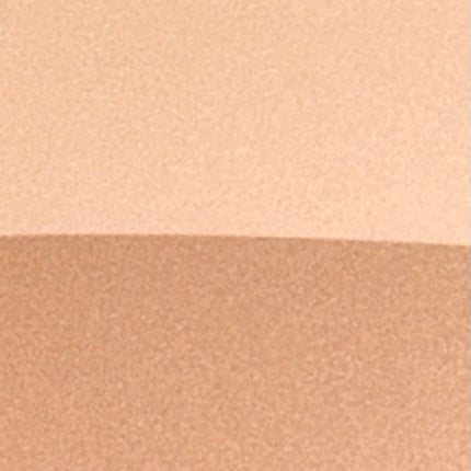 カラーデュオ トリック コンシーラー/Visée/パレットコンシーラーを使ったクチコミ(2枚目)