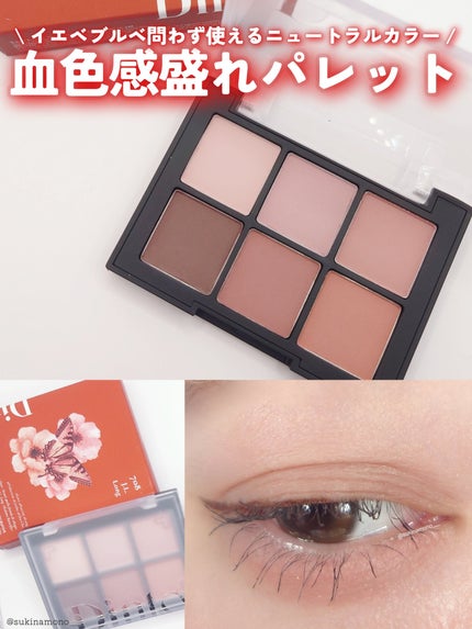 ブラーフィニシュシャドウパレット/Dinto/アイシャドウパレットを使ったクチコミ(1枚目)