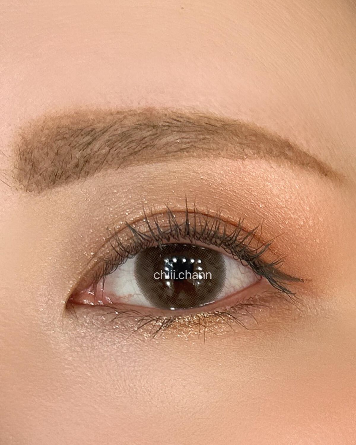 エクスプローラ12色 動物アイシャドウパレット/PERFECT DIARY/アイシャドウパレットを使ったクチコミ(5枚目)