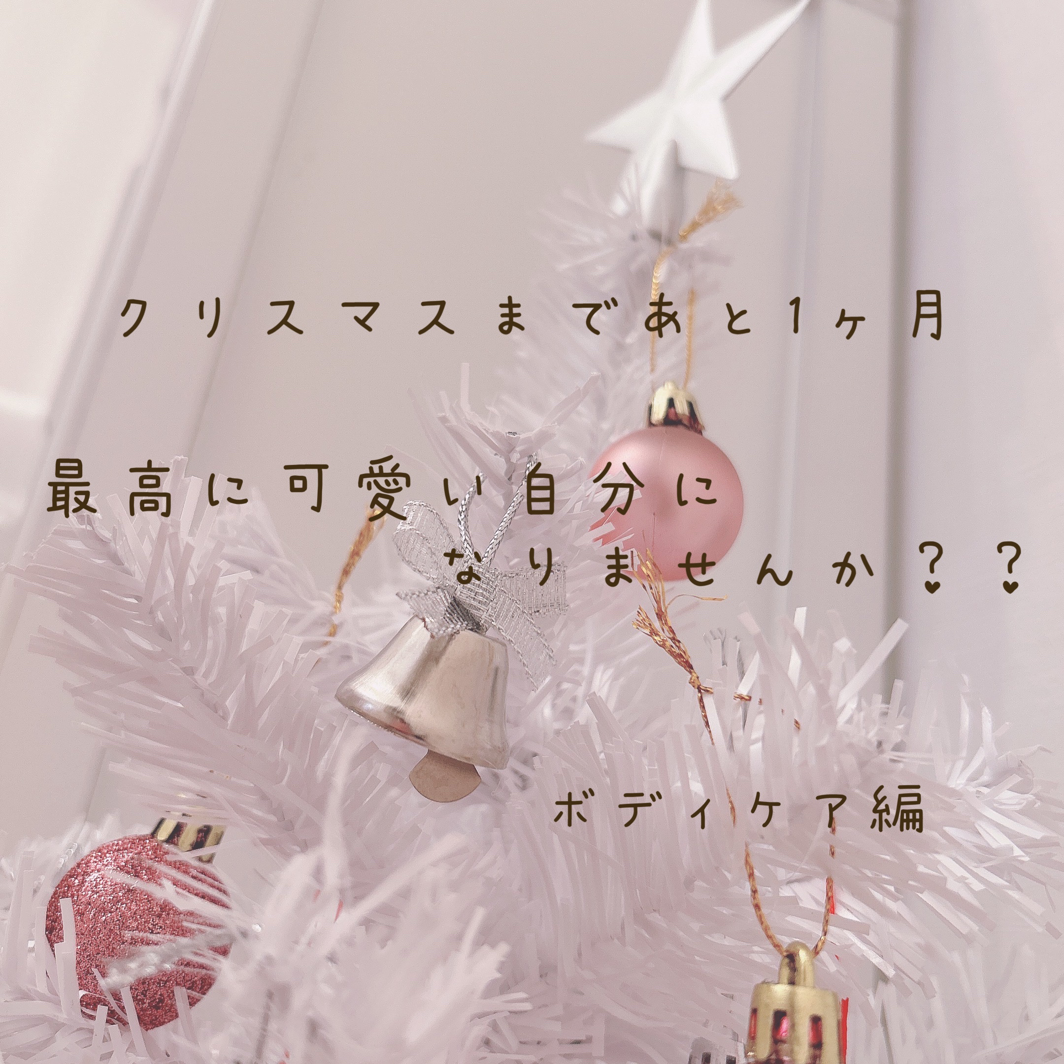 ブランポート ボディクリア ソープ n/ハウス オブ ローゼ/ボディソープを使ったクチコミ（1枚目）