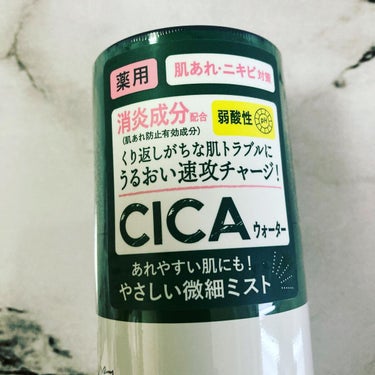 薬用 CICA ウォーターミスト/タイガレイド/ミスト状化粧水を使ったクチコミ（5枚目）