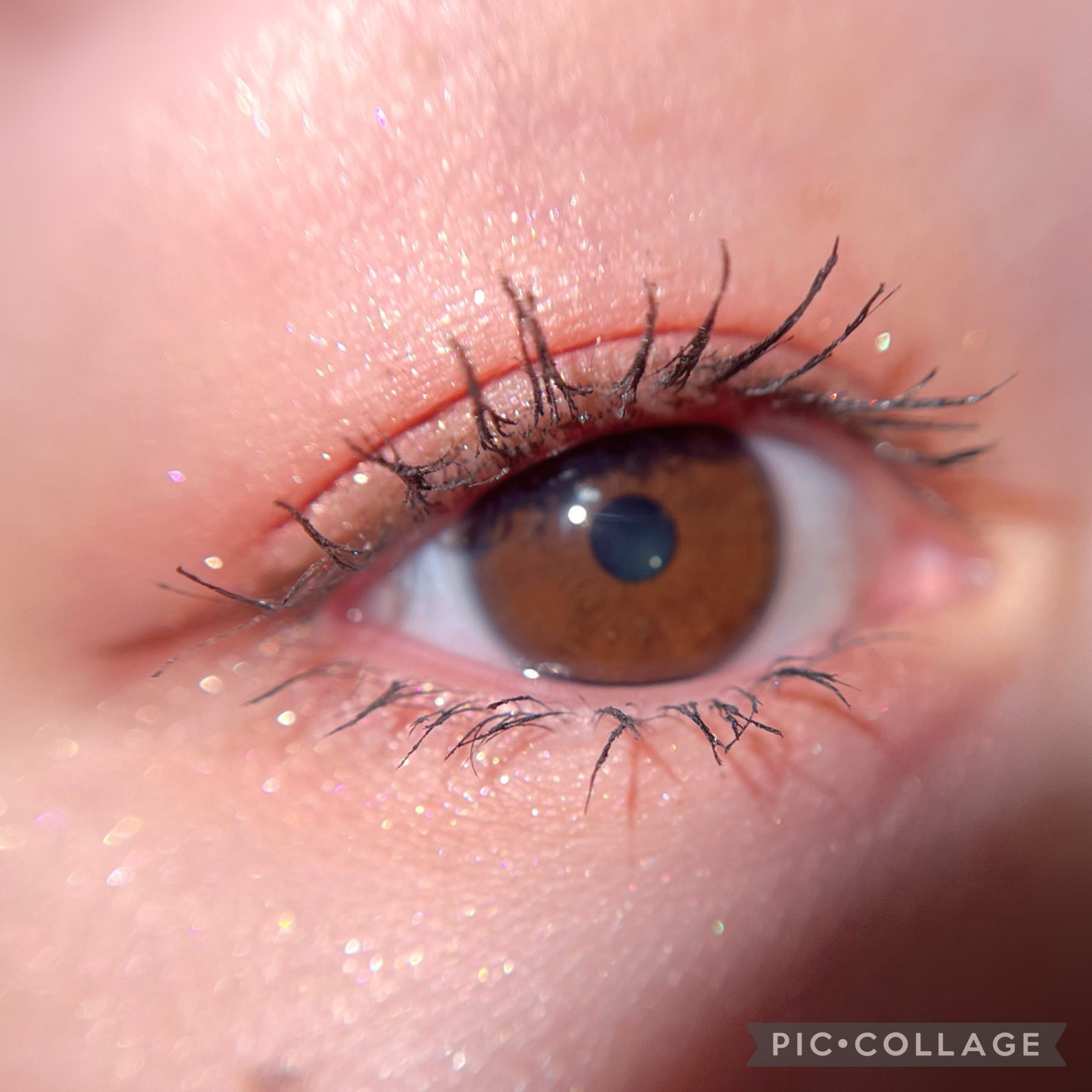 シルキースフレアイズ 11  ブロッサムシャワー/キャンメイク/アイシャドウパレットを使ったクチコミ（1枚目）