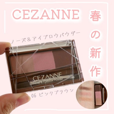 ノーズ＆アイブロウパウダー/CEZANNE/パウダーアイブロウを使ったクチコミ（1枚目）