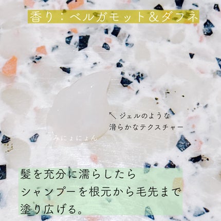 THE ANSWER スーパーラメラシャンプー/THE ANSWER/市販シャンプーを使ったクチコミ(2枚目)