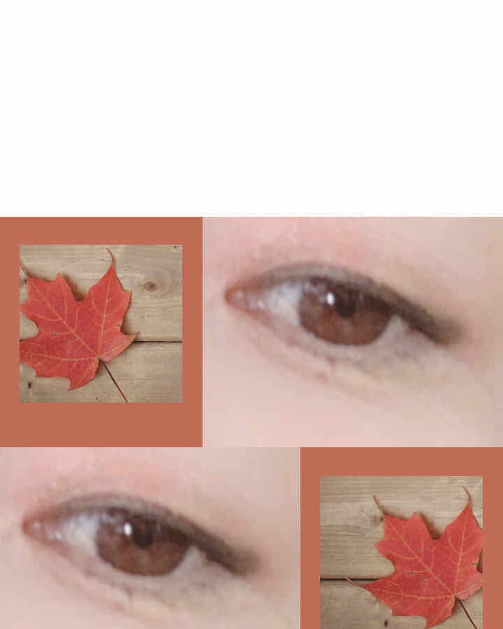 クリーミィラスティングリップA/media/口紅を使ったクチコミ(2枚目)