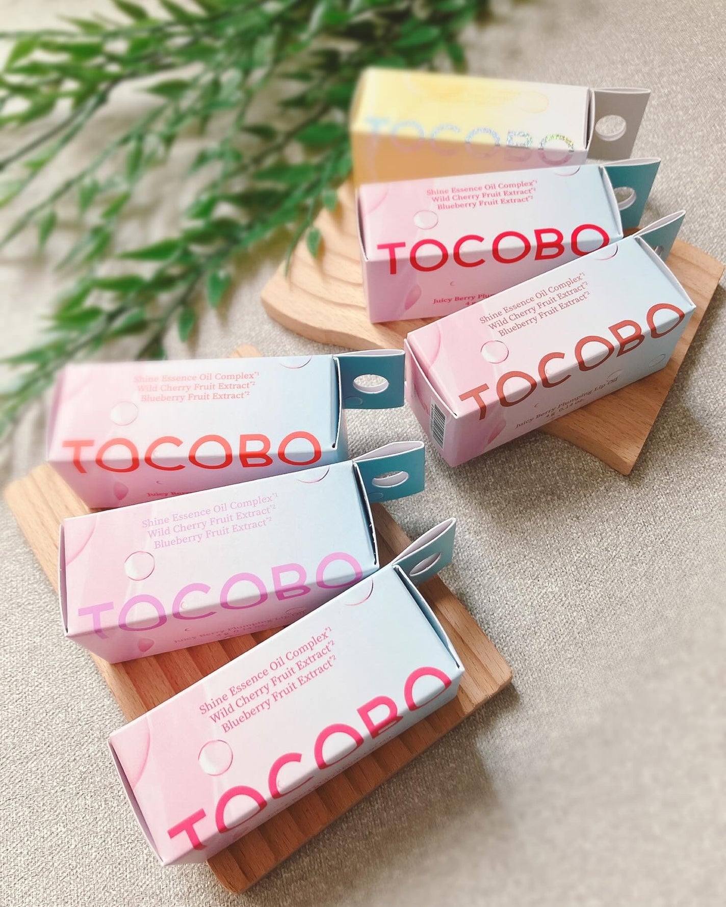 ぴぴちゃん22@フォロバ100% on LIPS 「パウダールーム様より頂きました!トコボ(tocobo)ジューシ..」(6枚目)