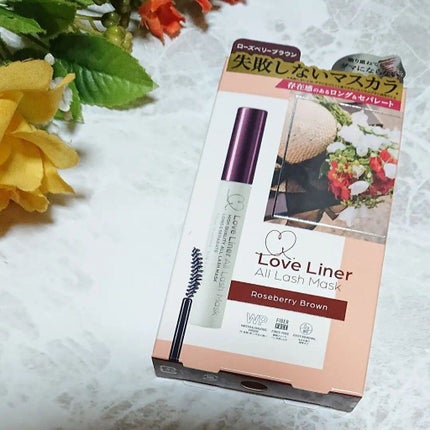 ラブ・ライナー オールラッシュマスク/ラブ・ライナー/マスカラを使ったクチコミ(1枚目)