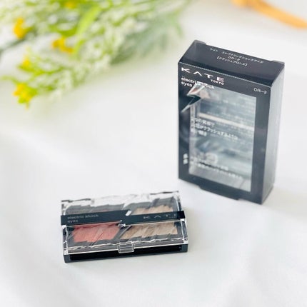 エレクトリックショックアイズ /KATE/アイシャドウパレットを使ったクチコミ(5枚目)