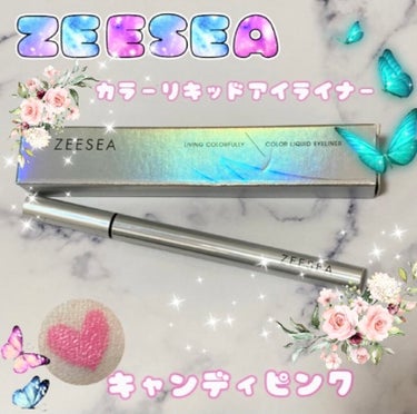 カラーリキッドアイライナー/ZEESEA/リキッドアイライナーを使ったクチコミ（1枚目）