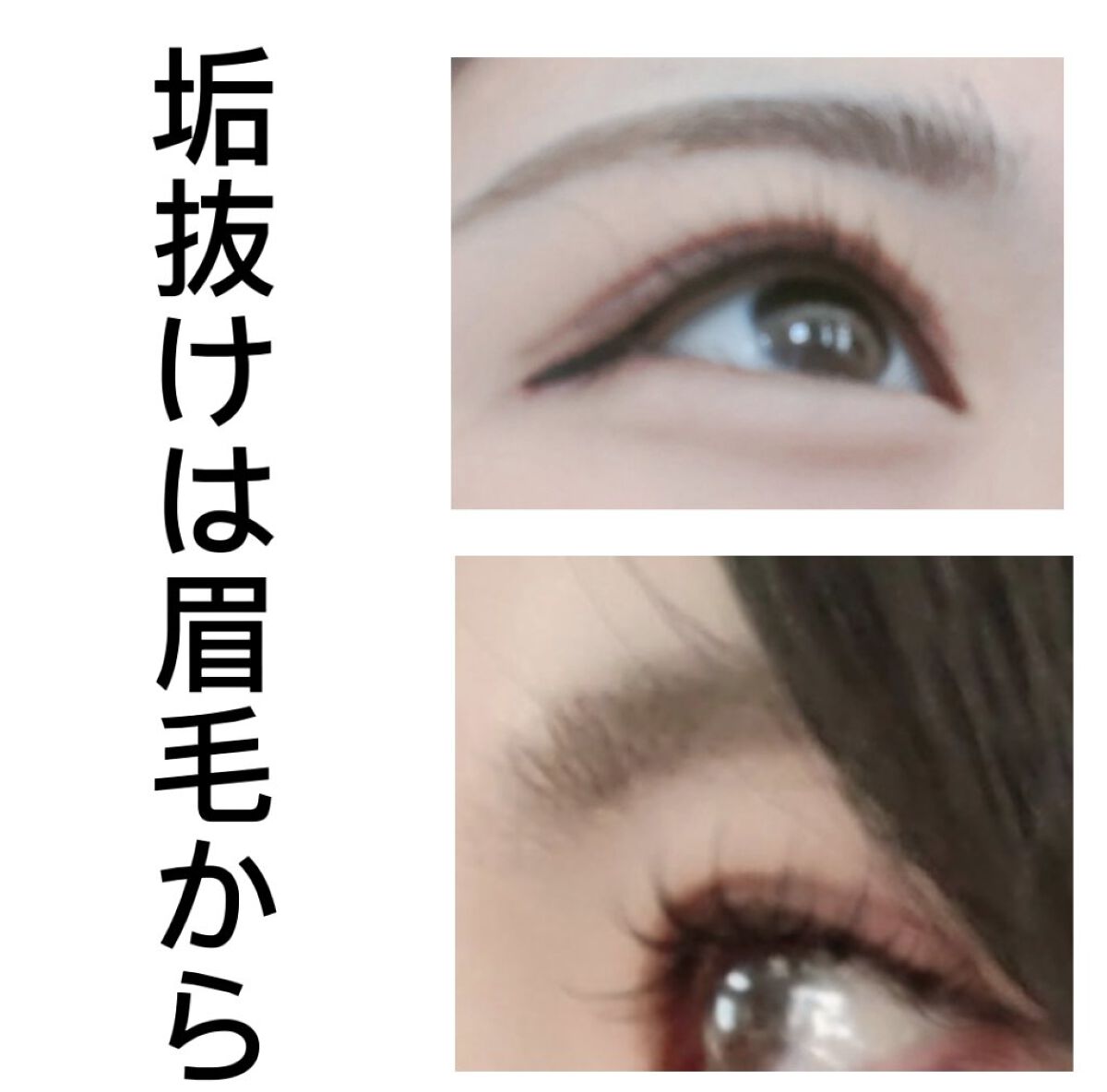 bi-hada ompa L ホルダー替刃2個付/貝印/シェーバーを使ったクチコミ（1枚目）