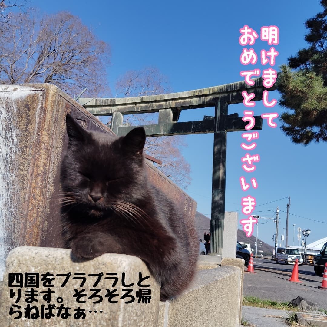 ニコニコにゃー on LIPS 「お正月は四国で過ごしてます✨3年連続よ🤗旅先で出会うコスメも大..」(1枚目)