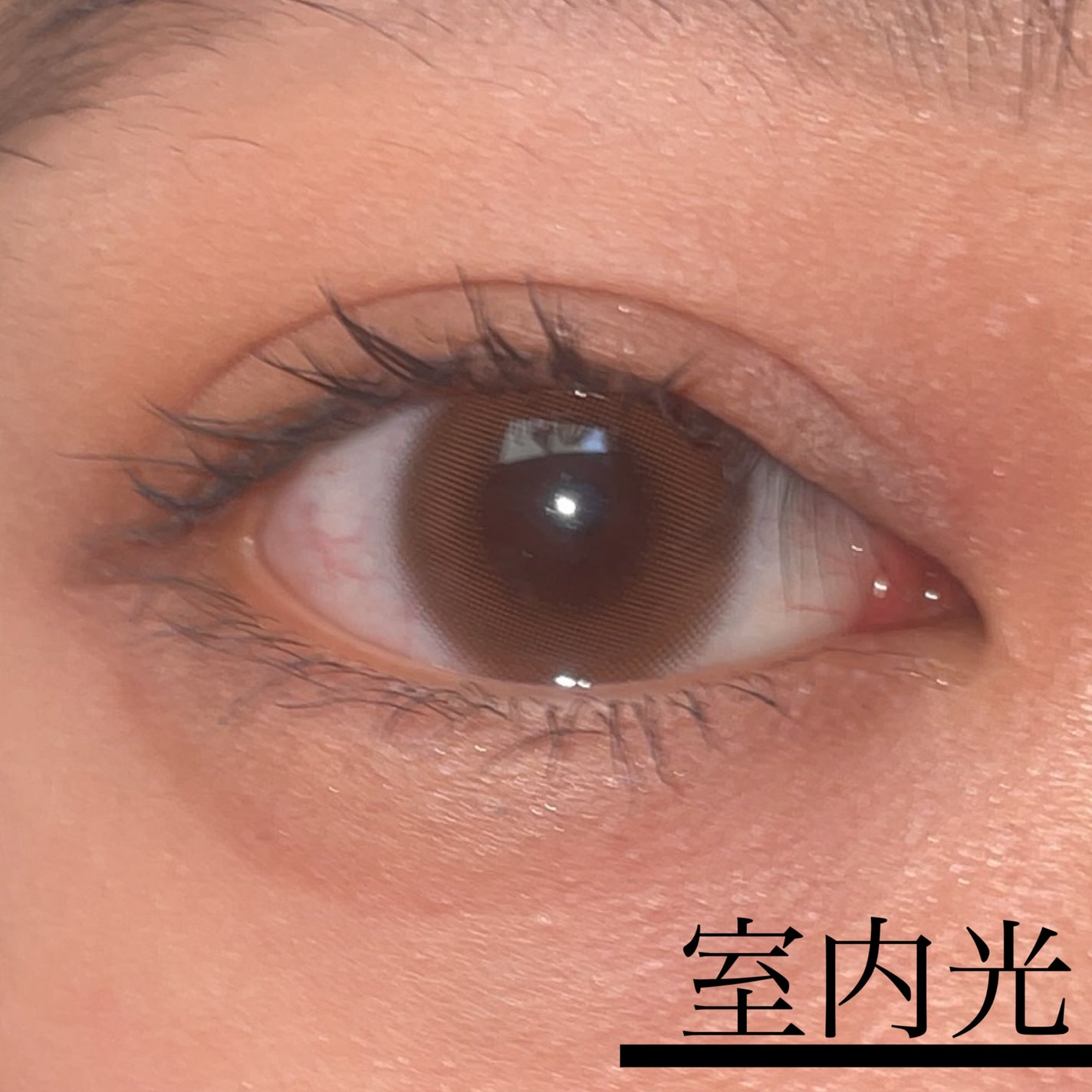 LOUER/LOUER/カラーコンタクトレンズを使ったクチコミ(4枚目)