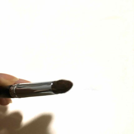 アイブラシ WR/b idol/メイクブラシを使ったクチコミ(3枚目)