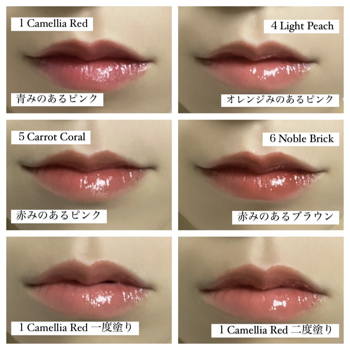 ヴィーガナイズコラーゲンリップガラスバーム 6番 ノーブルブリック/Veganize/リップグロスを使ったクチコミ（3枚目）