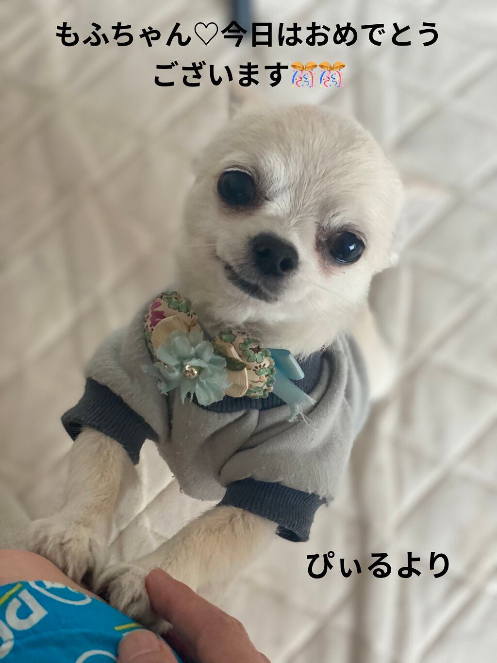 ジェルネイル(ライト対応)/セリア/ジェルネイルを使ったクチコミ(5枚目)