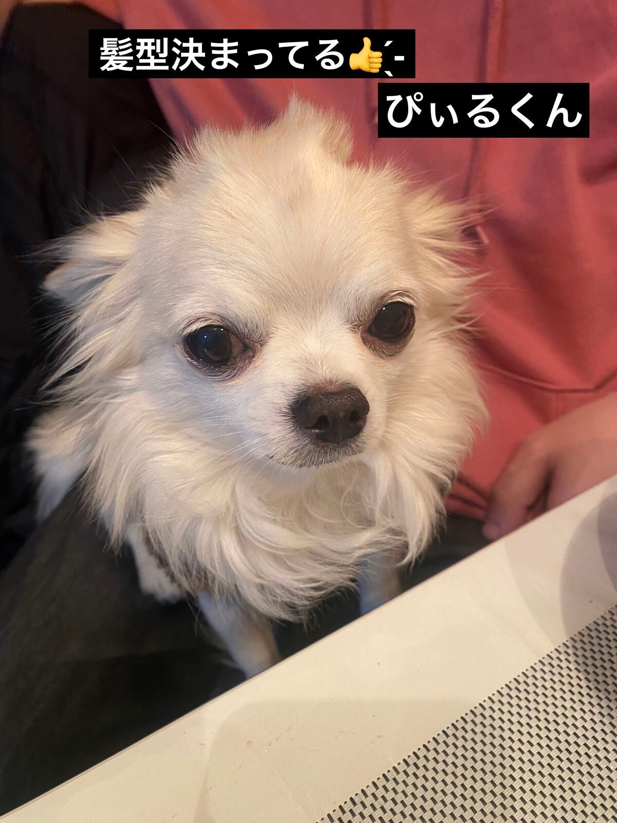 ミネラルクラッシィシャドー/エトヴォス/アイシャドウパレットを使ったクチコミ(8枚目)