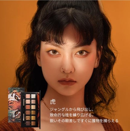 エクスプローラ12色 動物アイシャドウパレット 虎/PERFECT DIARY/アイシャドウパレットを使ったクチコミ(2枚目)