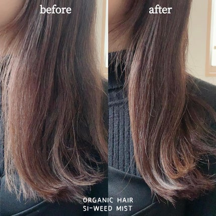 ORGANIC HAIR SI-WEED MIST/PINKGHOST/ヘアミストを使ったクチコミ(4枚目)