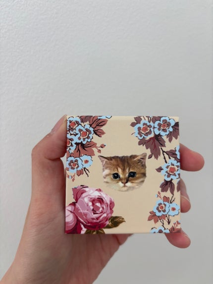 アイカラー リミテッド019/PAUL & JOE BEAUTE/アイシャドウパレットを使ったクチコミ(5枚目)