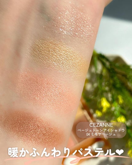 ベージュトーンアイシャドウ/CEZANNE/アイシャドウパレットを使ったクチコミ(4枚目)