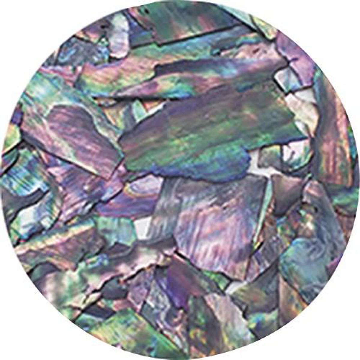 ナチュラルビーチシェル BZ14 ブラックオパール 