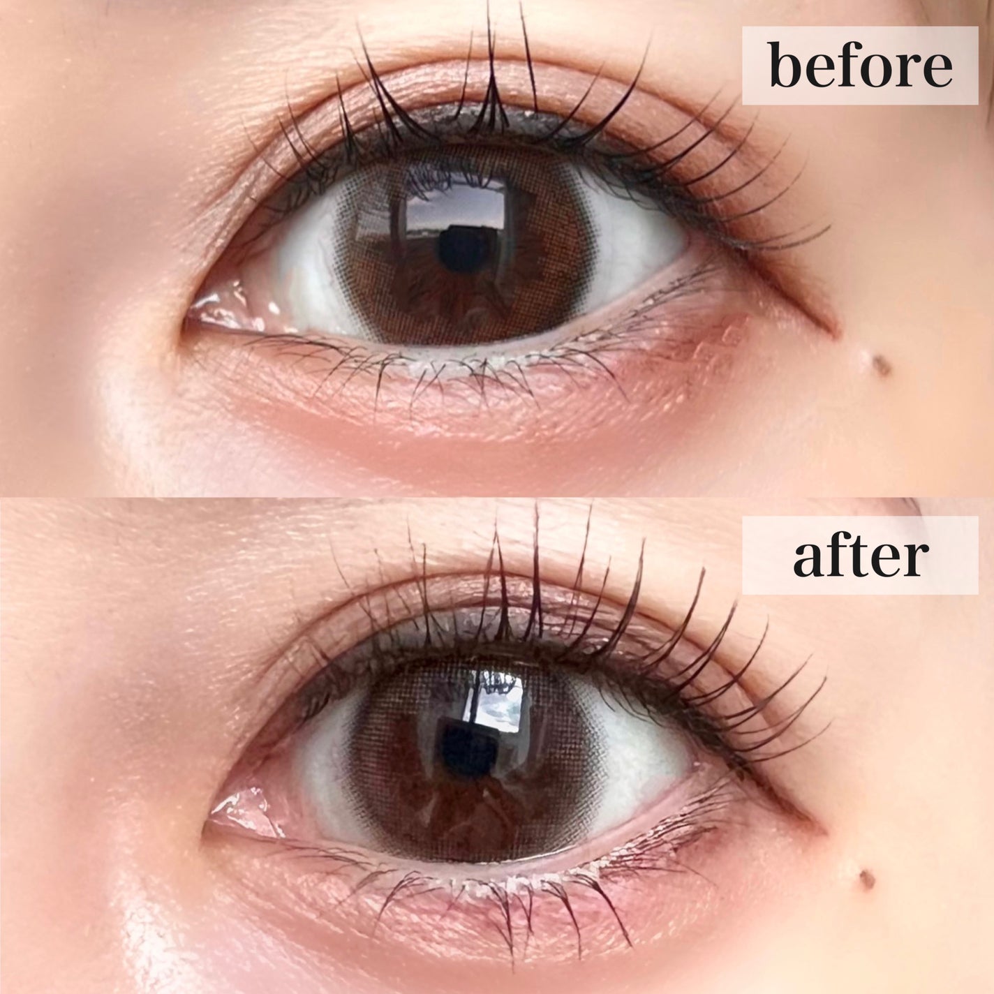 ウォンジョンヨ ヌードアイラッシュ/Wonjungyo/マスカラを使ったクチコミ(4枚目)