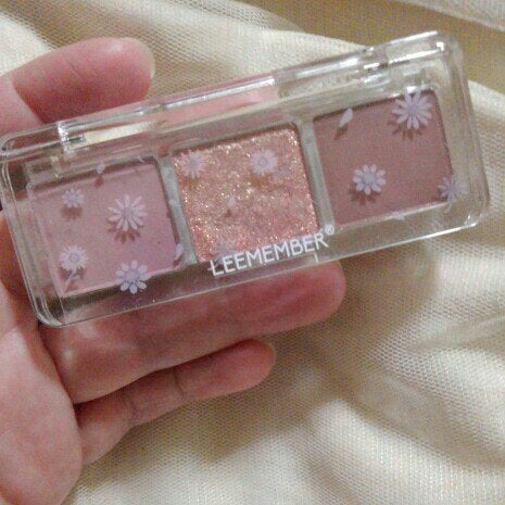 ノーズ&アイブロウパウダー/CEZANNE/パウダーアイブロウを使ったクチコミ(1枚目)