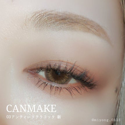 パーフェクトマルチアイズ/キャンメイク/アイシャドウパレットを使ったクチコミ(7枚目)