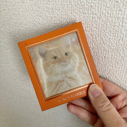 Venus Marble アイシャドウキャットシリーズ/Venus Marble/アイシャドウパレットを使ったクチコミ(1枚目)