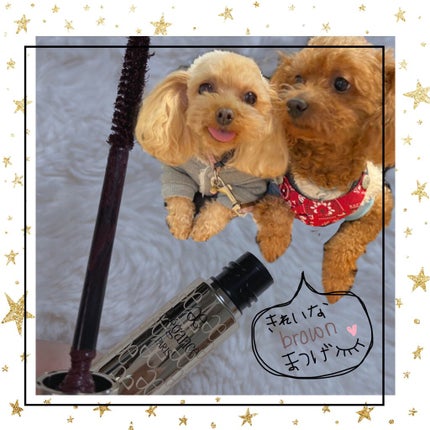 フルエクステンションマスカラ/Elégance/マスカラを使ったクチコミ(1枚目)